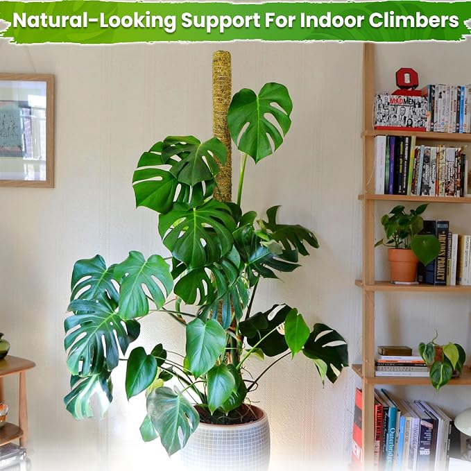 DUSPRO 59 Inches Natural Large Moss Pole for Big Plants, Monstera Plant Support, Plant Stakes for Indoor Plants, Plant Pole for Big Climbing Plants Indoor (1pc., 59'')