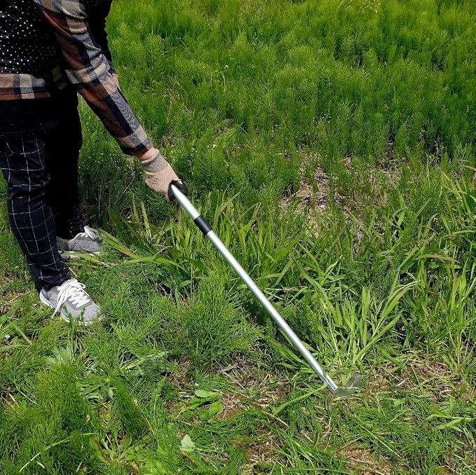 Weeding Sickle Long Handle Adjustable (26-1/2" to 42-3/4") Japanese Stainless Steel, Made in Japan, Telescoping Weeding Tool for Garden, Stand Up Weeder Sickle Hand Tool (Straight & Serrated Blade)