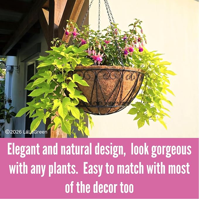 LaLaGreen Hanging Baskets for Plant Outdoor (20 Inch, 2 Pack) Large Black Metal Wire Round Flower Pot Hanging Planter with Coco Liner Holder Hanger Easy Install Modern Garden Balcony Country Decor