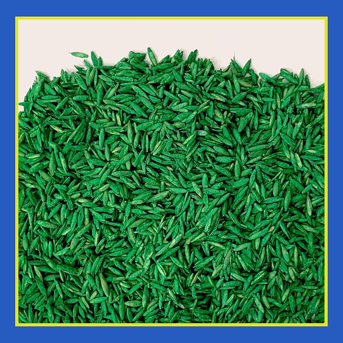 Pennington Clover and Grass Mix 7 lb (Pack of 4)