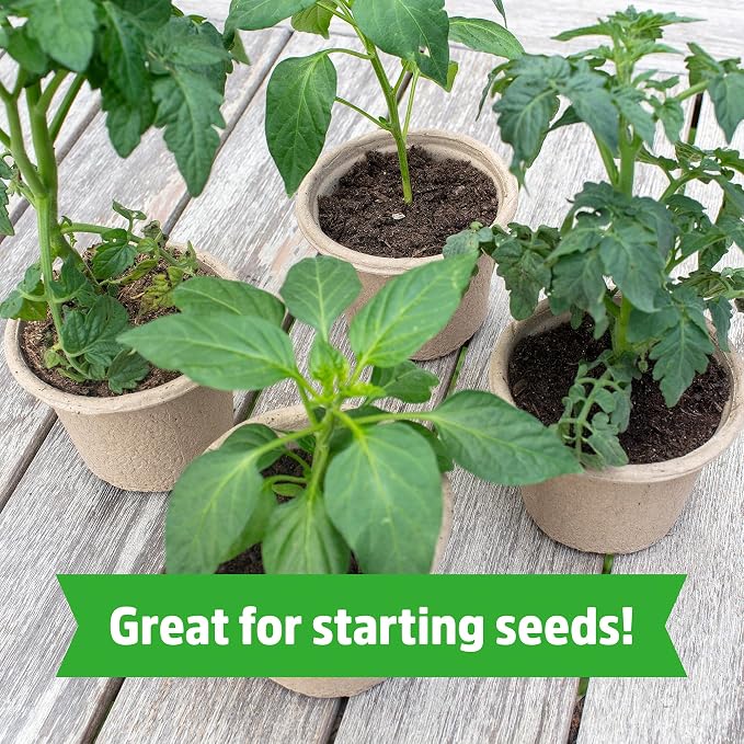 Back to The Roots Organic Coir, 51 Quart Expanding Soil, Great for Seeds and Potting (Pack of 4)