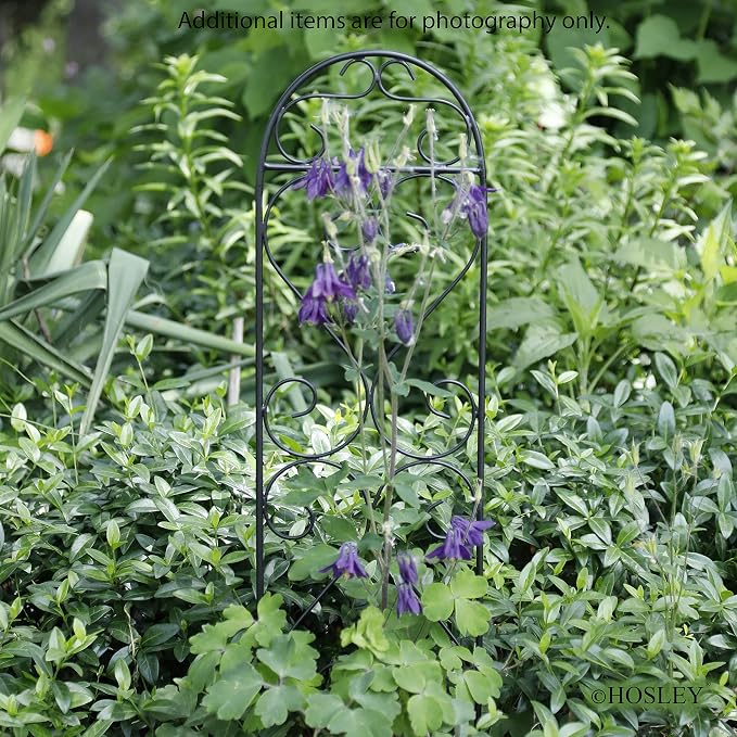 Hosley Set of 2 Iron Wave Pot Trellis 7.5" W x 27" H, Ideal Gift for Floral Arrangements Wedding or Party and Use Next to Structures Home or in Planters for Growing Floral Plants Vines and Vegetable