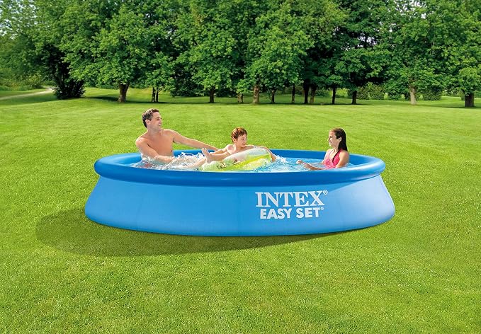 Intex 10ft x 24in Easy Set Pool Set