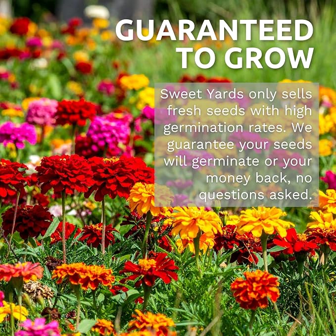 Bulk Wildflower Seeds Butterfly and Hummingbird Mix - 1 Pound Bag - Over 120,000 Open Pollinated Annual and Perennial Seeds