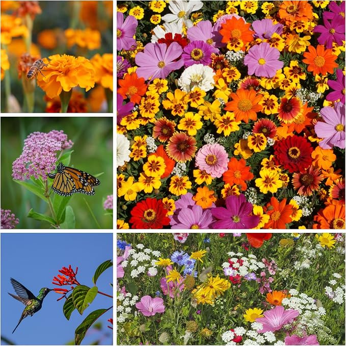 Pollinator Wildflower Seed Shaker Collection – 300,000+ Seeds – Hummingbird & Butterfly, Monarch & Bee Mixes – Covers 1,000 sq ft (Wildflower Seed Shaker - 3 Pack Gift Set)