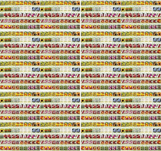Set of 1000 Flower Seed Packets - Flower Seeds in Bulk - 15 or More Varieties Available - Great for Creating Colorful Gardens (1000)