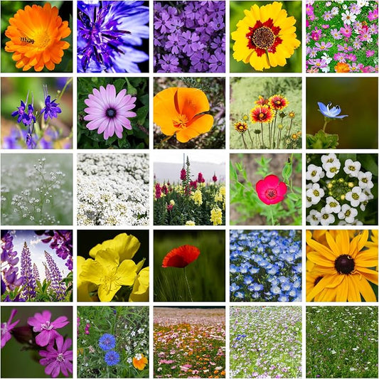 Mountain Valley Seed Co Wildflower Seeds - Meadow Wildflower Seed Mix 5 Lb | Annual & Perennial Wild flowers Seeds for Planting, Wildflower & Grass Garden Mixture,