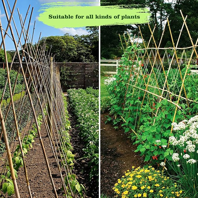 Jollybower 10pcs 1" D Thicker Heavy Duty Bamboo Stakes, 8FT Plant Stakes, Natural Garden Stakes for Tomato, Bean, Flowers,Trees Potted and Climbing Plant Support