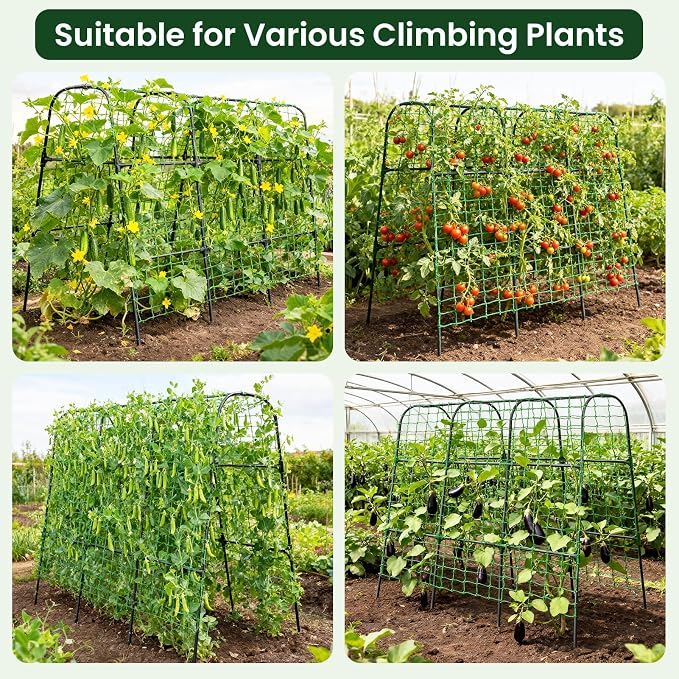 OTOSUNNY Cucumber Trellis, 50x48 inch Garden Arch Trellis for Climbing Plants Outdoor, Rustproof Metal Plant Support Vegetable Vine Tomato Cage Bean Pea Cucumber Trellis for Raised Garden Bed, Black