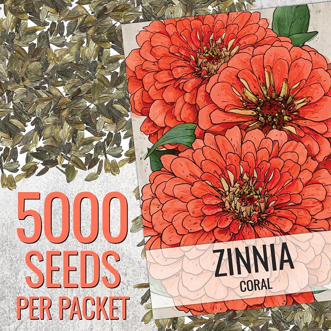 Seed Needs Zinnia Seeds Coral Fast Blooming 5,000 Seeds Bulk Pack