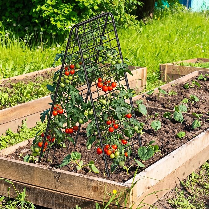 NANANARDOSO 2 Pack Cucumber Trellis, Heavy Duty A-Frame Trellis for Climbing Plants, Metal Garden Trellis Plant Support for Raised Beds, Tomato, Pea, Zucchini.