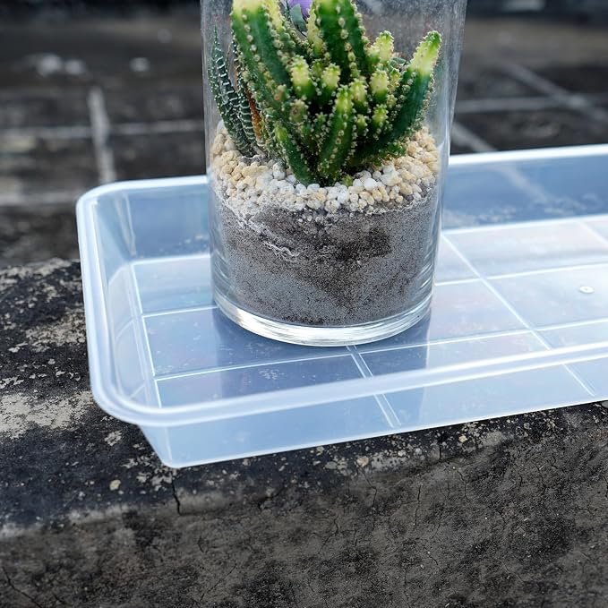 VUWEZ 2 Pack Plastic Plant Saucer, Rectangular, Indoors Outdoor, Water Drip Tray for Flower Pot, Windowsill (5.5 x 10 Inch, Clear)