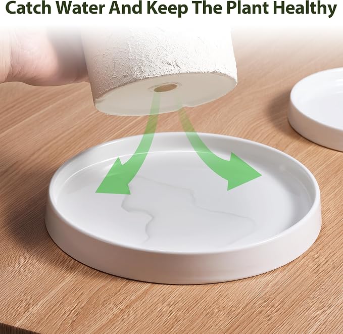saffruff White Ceramic Plant Saucer 6 Inch, 2 Pack Sturdy Plant Pot Tray Plate for Flower Pots, Round Ceramic Saucer Tray to Catch Water Drip & Drainage, Indoor Outdoor Planter Base