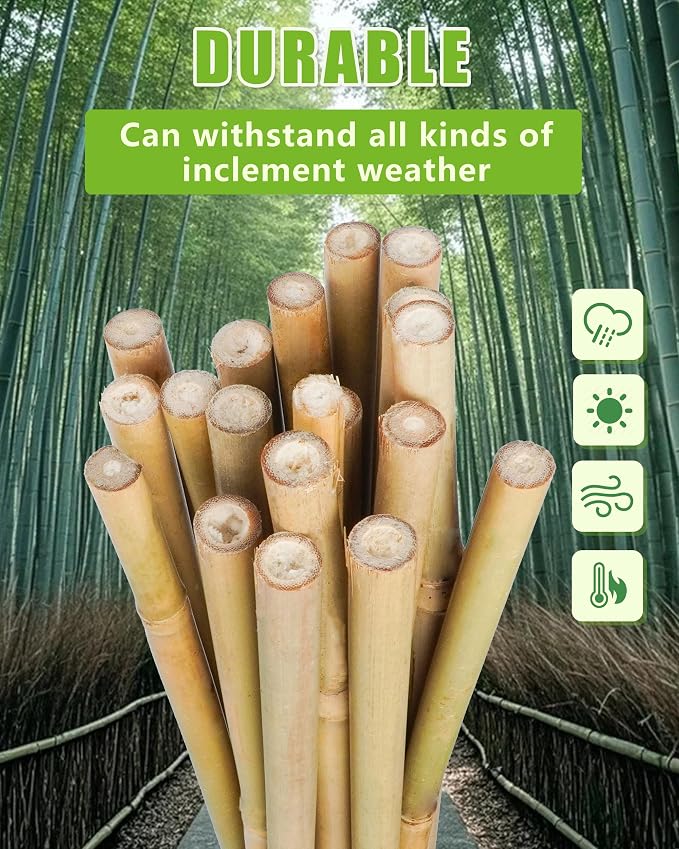 Natural Bamboo Plant Stake（7FT 15Pcs 3/4"） Sturdy Bamboo Poles, Durable Plant Bamboo Stake, Garden Climbing Plant Bracket.