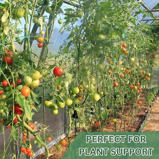 3 Ft Fiberglass Eco Friendly Garden Stakes 20 Pack (Height/Quantity Options) – Durable, Lightweight, Tomato, Tree, Strawberry, Plant, Support Fencing Stakes with Patterned Surface, Green (20, 3 Ft)