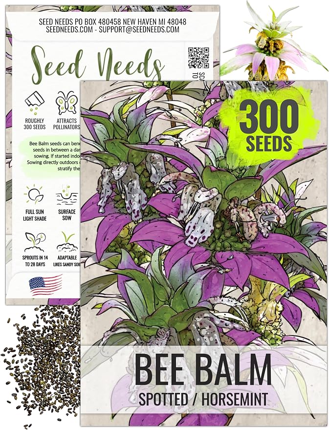 Seed Needs Spotted Bee Balm Seeds to Plant Horsemint Flowers/Herbs 1 Pack