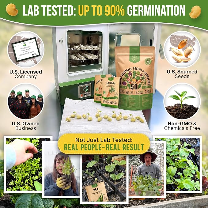 50 Winter Vegetable Garden Seeds Variety Pack - 43,450+ Non-GMO Heirloom Seeds for Outdoors & Indoor Home Gardening, Including Kohlrabi, Lettuce, Radish, Onion, Choy, Spinach, Cauliflower, Collards