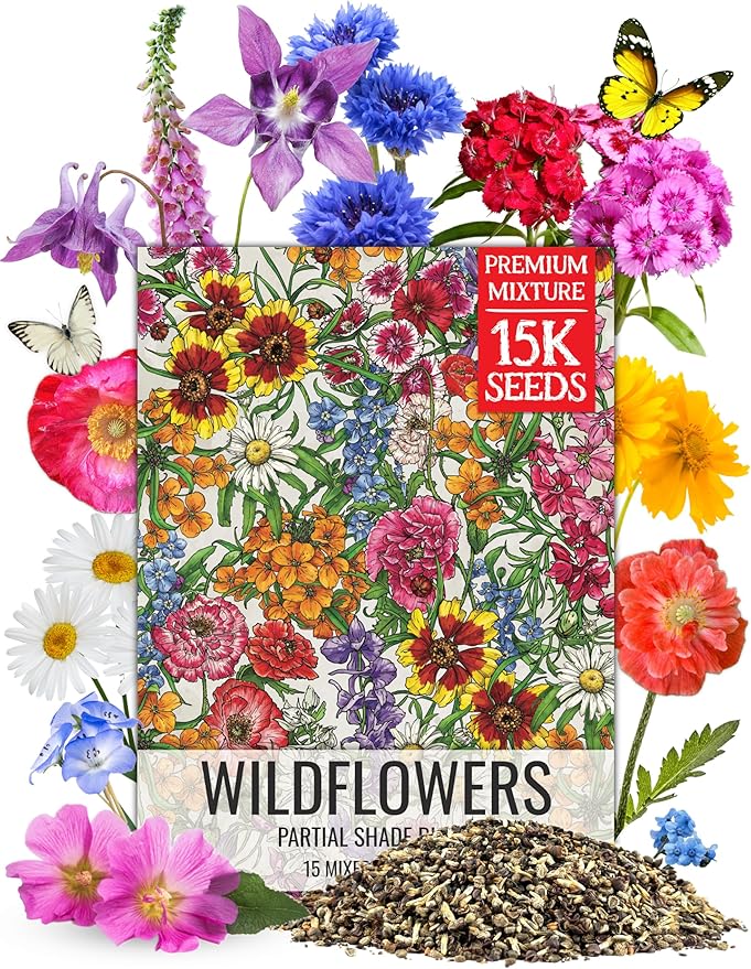 Seed Needs Wildflower Seeds Partial Shade Mix 1 Ounce Heirloom Bulk Pack