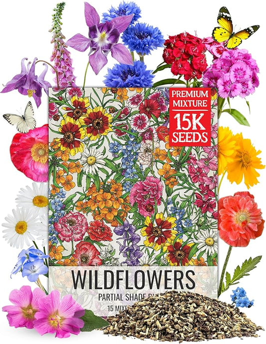 Seed Needs Wildflower Seeds Partial Shade Mix 1 Ounce Heirloom Bulk Pack