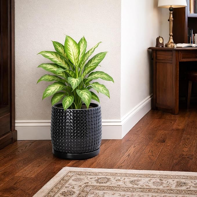 D'vine Dev 8 Inch Ceramic Beaded Stoneware Planter Pot - Flower Pot with Drainage Holes and Saucers for Indoor Succulent Plants or Flowers, Glossy Black, 27-C-Q-2