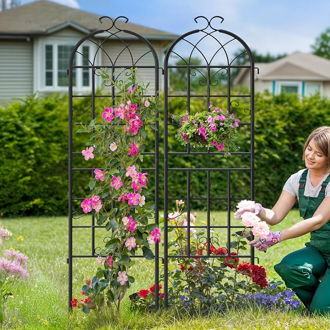 4 Pack Garden Trellis for Climbing Plants Outdoor, 71" H x 20" W Rustproof Iron Plant Support for Rose, Vine, Cucumber, Decorative Scrollwork Clematis Trellis for Yard, Lawn Patio or Wall Decor