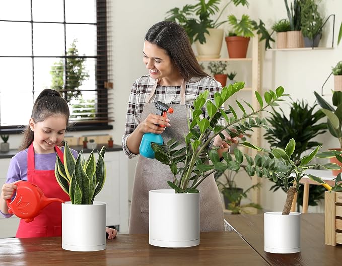 D'vine Dev 4.5 Inch 5.5 Inch 6.5 Inch, Set of 3 Plastic Planter Pots for Plants with Drainage Hole and Seamless Saucers, White Color, Small Plus, 74-V-A-2