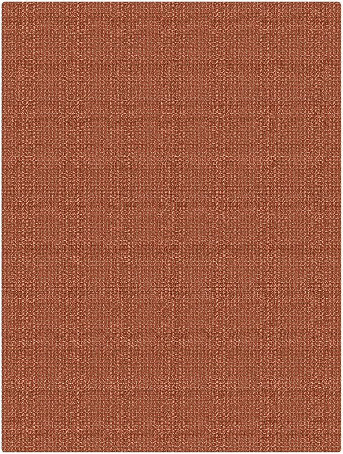 KOZYFLY Washable 3x4 Woven Entry Area Rug, Braided Throw Rugs for Entryway, Non Slip Door Mat Indoor Outdoor Entrance, Front Porch Foyer Carpet for Kitchen, mudroom, Bathroom, Burnt Orange/Tan