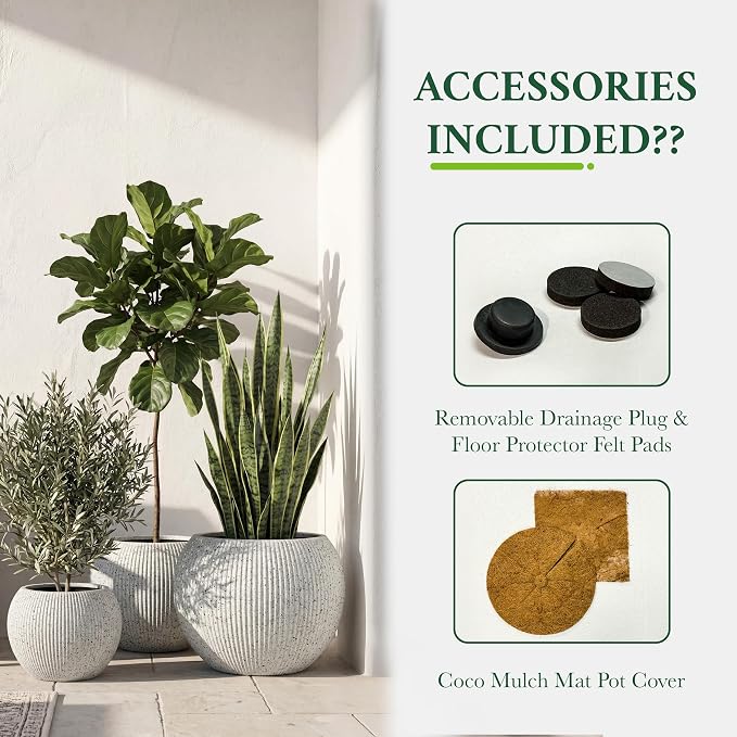 DTY Premium Mt Sherman Fiberstone Sphere Planter for Indoor Outdoor Use, Round Pot for Olive Tree, Lightweight, Smooth Finishes. 2 Coco Mats. Ribbed White, Medium 16.1'' D x 13.6'' H 11.8” Pot Opening