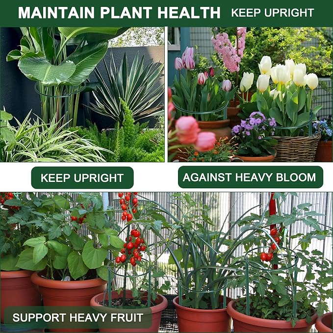 6 Pack Peony Cages and Supports, 14" (W) x 32"(H) Plant Support, Rust-Proof Metal Plant Support Stakes for Outdoor&Indoor Plants