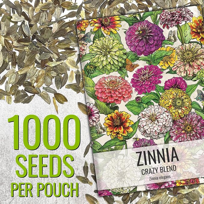 Seed Needs Zinnia Seeds Original Crazy Blend 1,000 Seeds Heirloom Bulk Pack