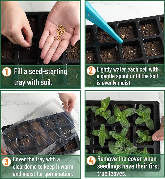 Mr. Pen- Seed Starter Tray Kits, 10 Set, Total 150 Cells | Durable Plant Germination Trays with Humidity Vented Domes and Bases, Ideal for Seed Starting