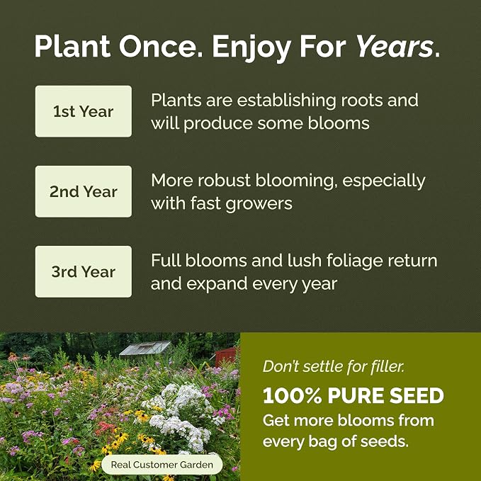 Eden Brothers All Perennial Wildflower Mixed Seeds for Planting, 10 lb, 4,800,000+ Seeds with Lupine, Shasta Daisy | Attracts Pollinators, Plant in Spring or Fall, Zones 3, 4, 5, 6, 7, 8, 9, 10
