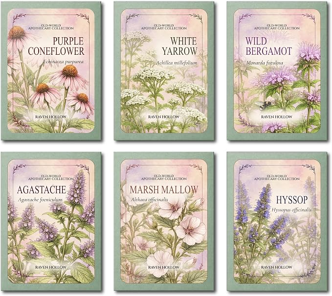 Old-World Apothecary Garden Seeds, 6 Medicinal Herb & Perennial Flower Seed Packets for Cottage, Pollinator, Herbalist & Herb Gardens