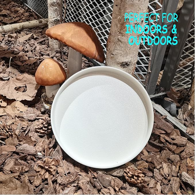 Plant Pot Saucer - 10 Inch Plant Saucer for Indoors and Outdoor Ceramic Plant Tray for Indoors Large Plant Drip Trays Round Flower Pot Saucer Plant Dishes to Catch Water,Frosted White