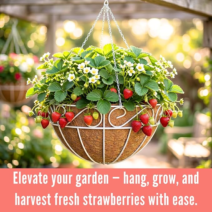 LaLaGreen Hanging Planter for Outdoor Plants (2 Pack, 10 Inch) White Hanging Baskets with Coco Liner, Metal Wire Flower Basket Pots with Hook Hanger Balcony Porch Farmhouse Country Style Garden Decor
