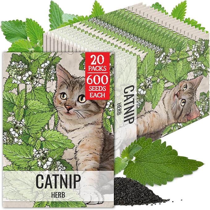 Seed Needs Catnip Seeds to Plant Heirloom Non-GMO Herbs for Cats 20 Pack
