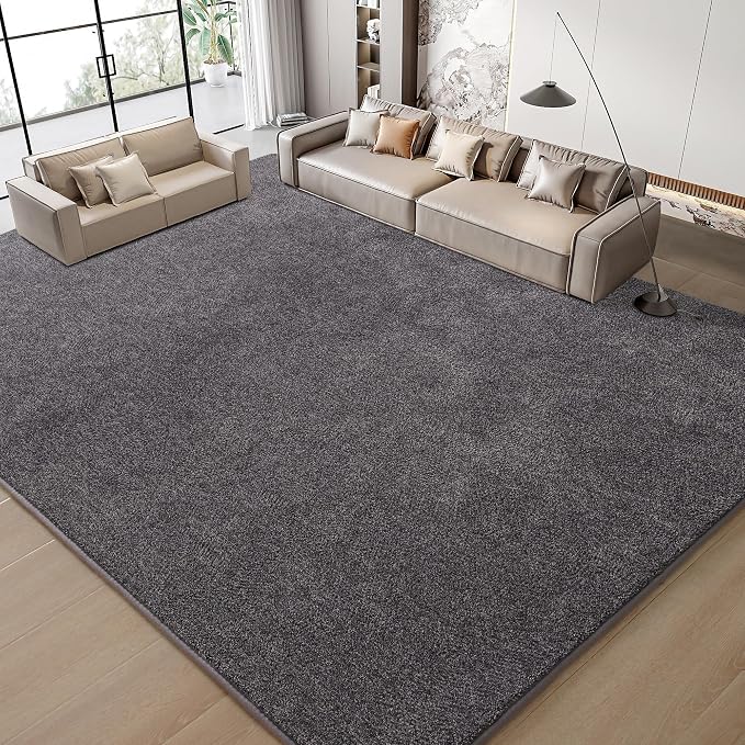 Keeko 3x5 Area Rugs for Living Room,Soft Washable Memory Foam Bedroom Rug | Indoor Throw Rug Low Pile Minimalist Non Slip Carpet for Kids Nursery Classroom Dorm Room Home Decor Dark Grey and White
