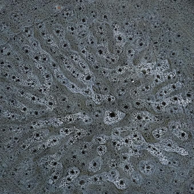 Sunnydaze Toulon Outdoor Ceramic Bird Bath - 24.5" H - UV- and Frost-Resistant - Glazed Bowl - Black Mist Glaze