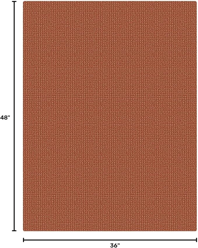 KOZYFLY Washable 3x4 Woven Entry Area Rug, Braided Throw Rugs for Entryway, Non Slip Door Mat Indoor Outdoor Entrance, Front Porch Foyer Carpet for Kitchen, mudroom, Bathroom, Burnt Orange/Tan