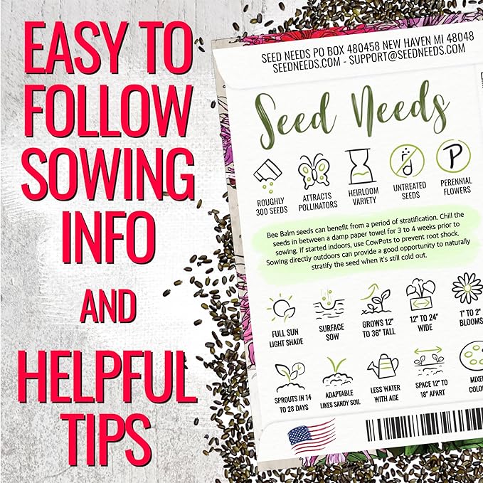 Seed Needs Bee Balm Seeds to Plant Panorama Mix Perennial Flowers 5 Packs