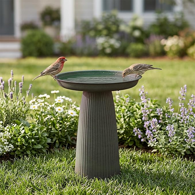 Sunnydaze Gleeful Garden 23" Iron Pedestal Bird Bath for Outside - Modern Shallow Basin Birdbath for Outdoors with UV-Protected Rust-Resistant Finish for Patio, Garden, Yard Decor - Matte Green