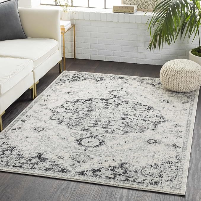 Livabliss Odelia Vintage Bohemian Area Rug,3'11" x 5'7",Black