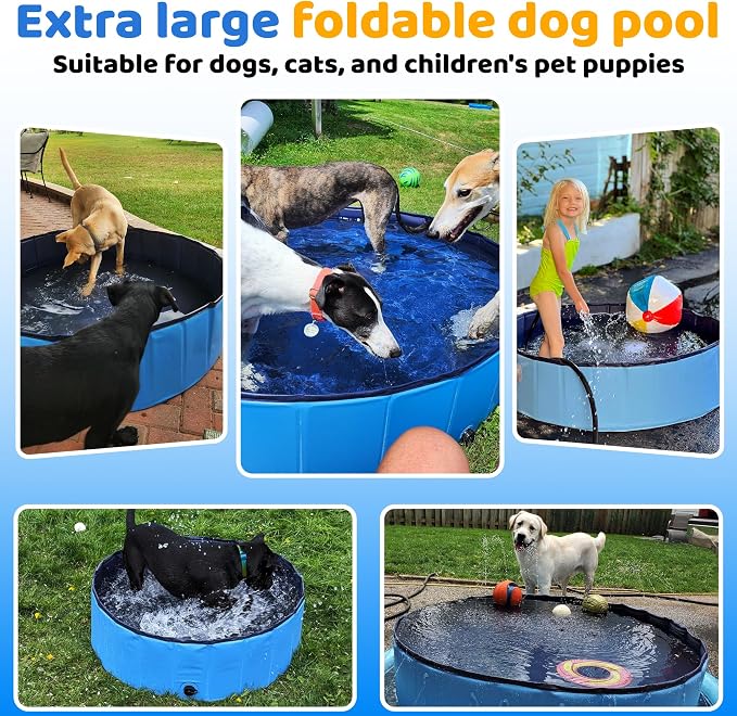 CACSPS 79" x 12" Foldable Dog Pool - Collapsible Hard Plastic Kiddie Pool for Dogs & Kids, Non-Slip Pet Bath Tub for Outdoor Backyard Use, Lightweight & Portable (Blue)