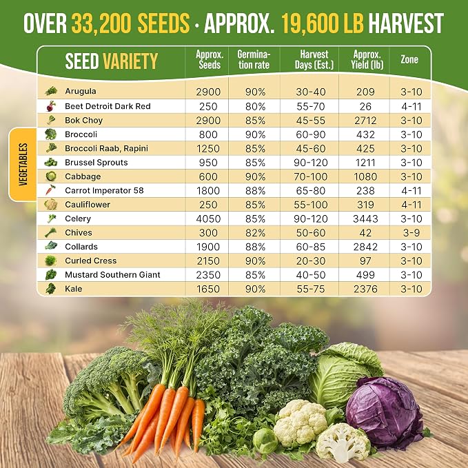 Organo Republic 30 Most Popular Winter Vegetable Garden Seeds Variety Pack- Outdoors/Indoor 33,200+ Non-GMO Heirloom Veggie Seeds Broccoli Beet Carrot Cabbage Chives Lettuce Radish Pea Spinach & More