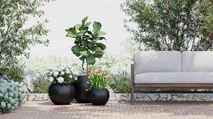 DTY Premium Mt Sherman Fiberstone Sphere Planter for Indoor Outdoor Use, Round Pot for Olive Tree, Lightweight, Smooth Finishes. 2 Extra Coco Mats. Black, Large 21.1'' D x 16.7'' H. 14.6” Pot Opening