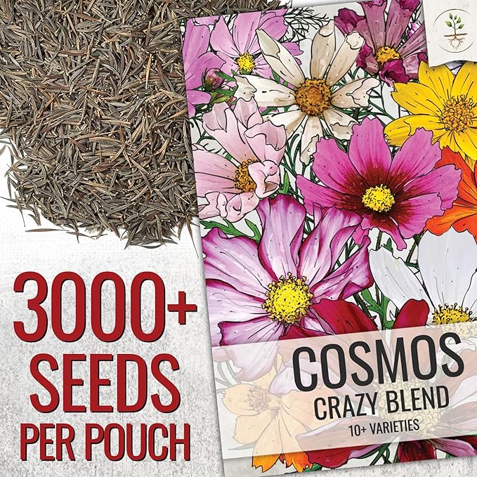Seed Needs Flower Seeds Cosmos Original Crazy Blend 10+ Varieties Bulk Pack
