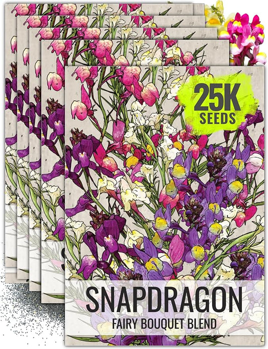 Seed Needs Fairy Bouquet Baby Snapdragon Seeds to Plant Flowers 5 Packs