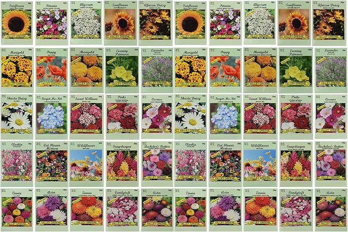 50 Slightly Assorted Flower Seeds! – Great for Bees, Birds, and Butterflies! – Includes 10+ Varieties of USA Grown & Non-GMO Seeds! – May Include Forget-Me-Nots, Marigolds, Wildflowers, and More