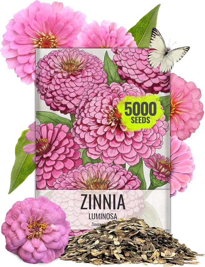 Seed Needs Zinnia Seeds Luminosa Pink Fast Blooming 5,000 Seeds Bulk Pack