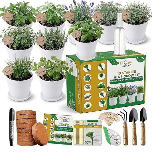 47 PCS Herb Garden Seeds Starter Kit, 10 Non-GMO Culinary Herb Seeds with White Pots & Planters for Windowsill, Herb Growing Kit Indoor & Outdoor, Unique Herb Garden Gift Set for Gardening Lovers